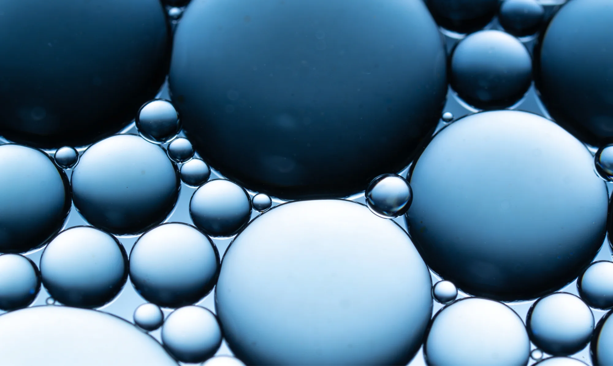 Xalabarder